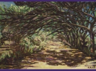 Obraz ALEJ V PORQEROLLES, FRANCIE, 66 x 40 cm, tm. fialový rám, olej, 2.550,- Kč